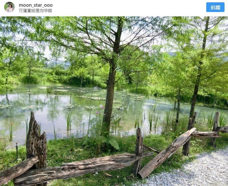 根本是《魔戒》裡小木屋！　花蓮「最美打卡咖啡廳」7月終於正式開幕
