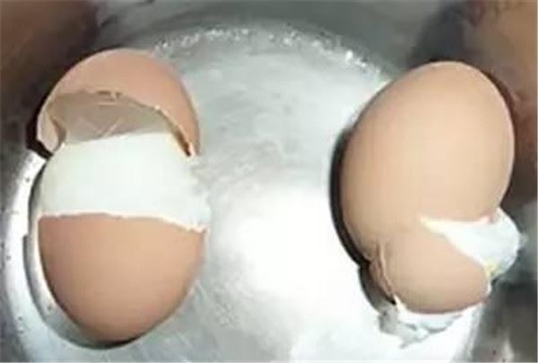 原來我們蒸蛋的時候少放了「這樣東西」，難怪餐廳賣的蒸蛋又香又滑又好吃！ 