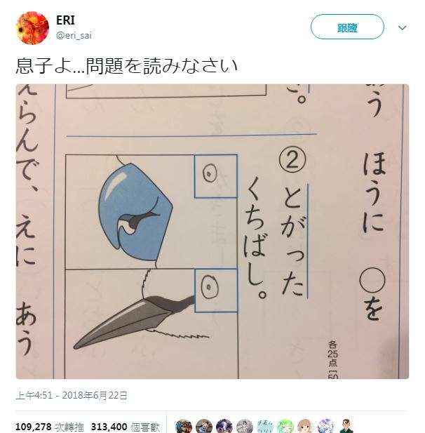 媽媽PO齣兒子的小學題目「請圈出尖的鳥嘴」　大公司一看就搶著要人