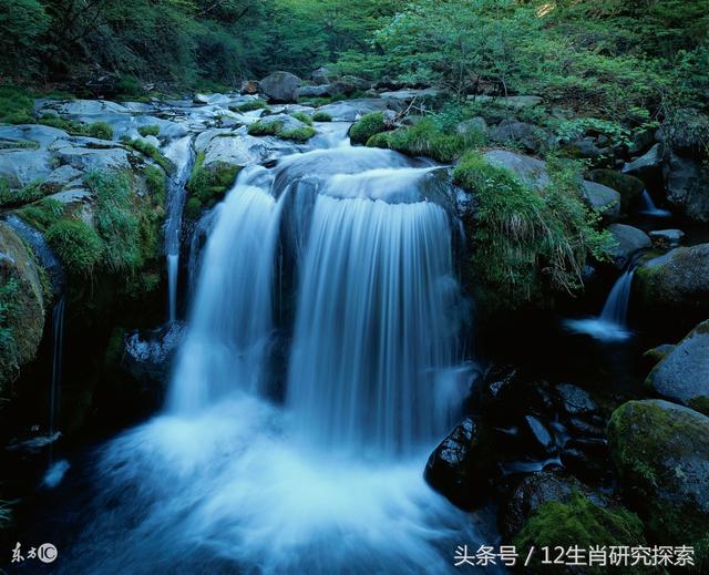 6月29日，這些生肖，錢多到花不完，財運旺久久！ 