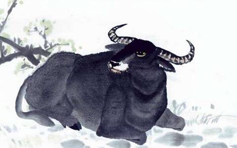 四大生肖7月：鹹魚翻身，有錢有勢。 