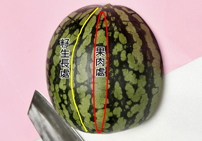 切西瓜「先用保鮮盒壓一下」超省冰箱空間　大廚教你4種創意切法 