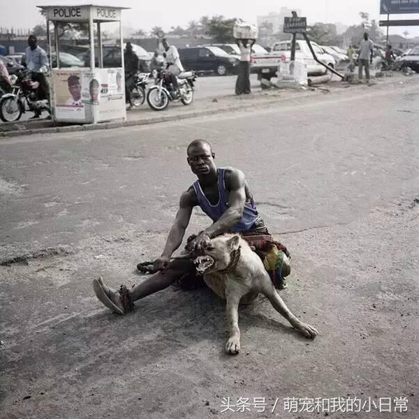 看看人家非洲人養的寵物，再看看自己的，簡直就是弱爆了 