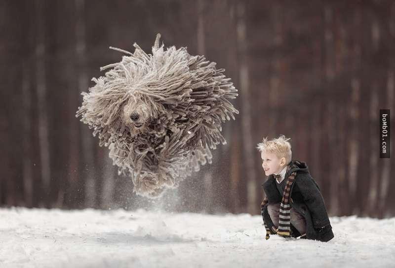 長得和拖把超像的狗狗在雪地奔跑，它和小主人玩樂的畫面直接就治癒大家的心啊！