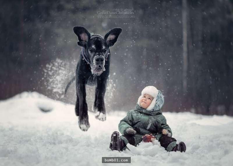 長得和拖把超像的狗狗在雪地奔跑，它和小主人玩樂的畫面直接就治癒大家的心啊！
