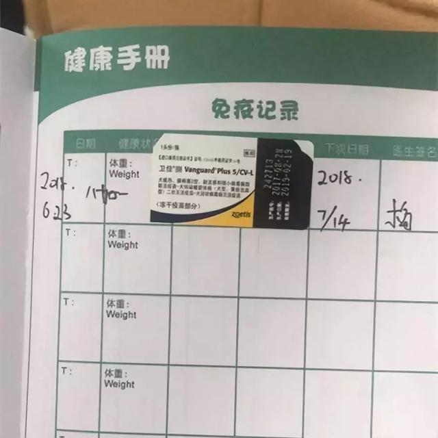 撿到一隻流浪古牧，本以為滿足了夢想