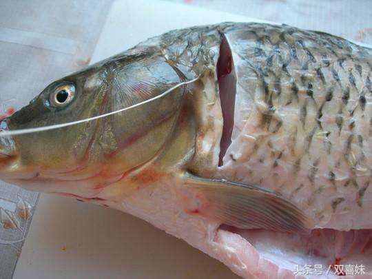魚湯怎麼熬制才好喝？學會這一招，做出來湯濃白無腥味，看饞了