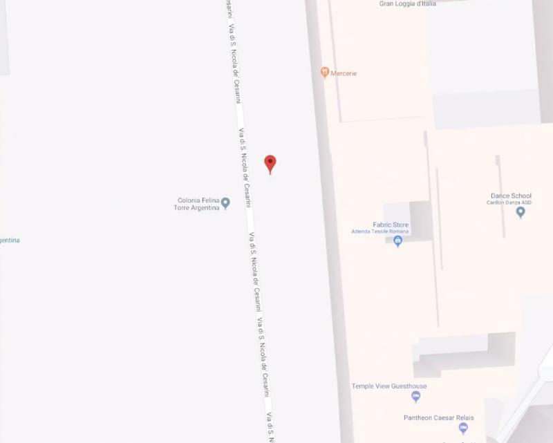 皇上又亂入！羅馬「Google街景」藏彩蛋　一轉身超大喵喵頭：還不快問安～