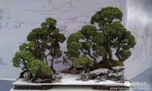 三十三盆盆景 三十三種震撼 