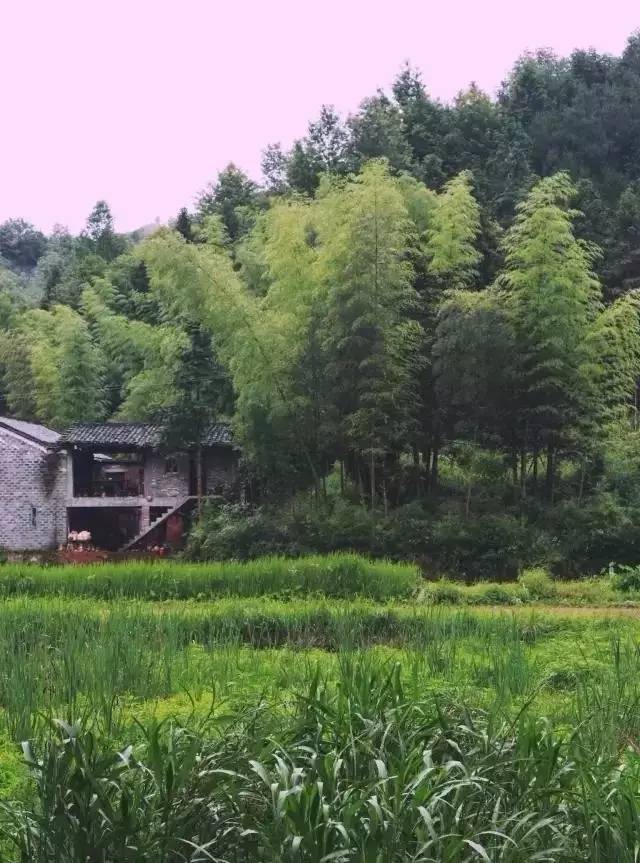 小夫妻「花4萬8改造破舊農宅」隱居山水男耕女織，神仙生活讓人超羨慕！ 