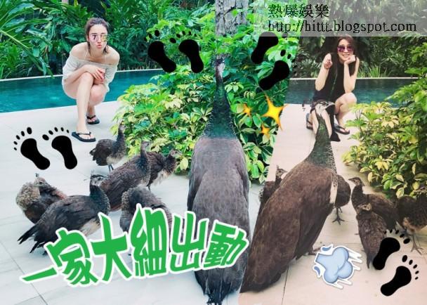 姚子羚:胡蓓蔚出賣！姚子羚中門大開表哥眼歎瀑布 __,胡蓓蔚,姚子羚,