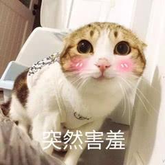 嬴政中單，貂蟬中單，武則天中單，都不如用他中單！