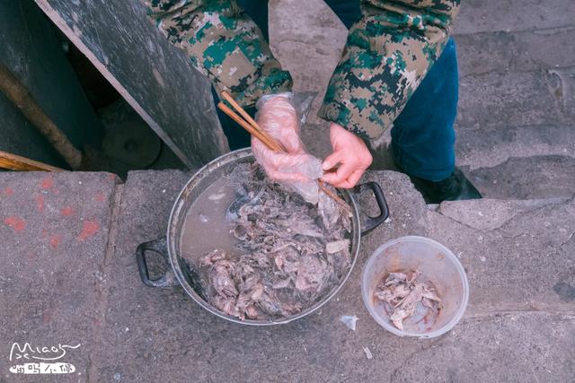 北京好心阿姨喂養流浪貓10年，人稱貓司令，一到開飯貓貓排成一排