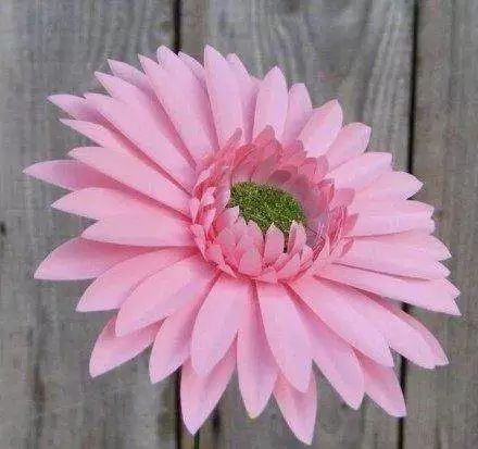 哪朵鮮花是真的？測出你未來8天會有啥好運？  