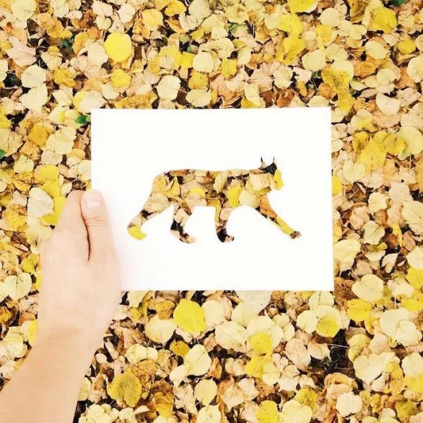 靜下心選擇一張動物剪紙畫，測分手之後的你會怎樣  