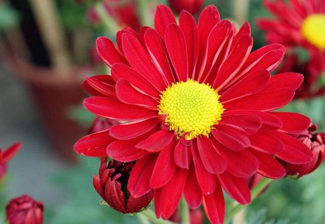 九大生肖鴻運當頭：7月6號偏財旺，7號發橫財，8號中頭獎！ 