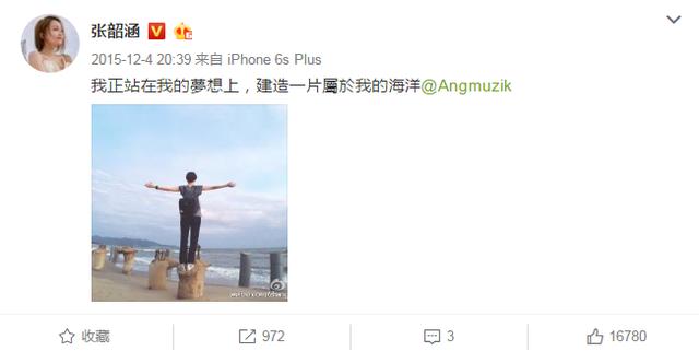 她在巔峰時被親媽轉移財產，卻不吭一聲「買下一座島」活成人生贏家！ 