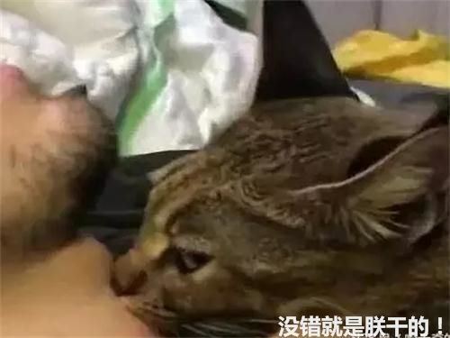 發現男友脖子上有紅印，女子當場氣哭，沒想到小三竟然是...!網友大跌眼鏡！ 