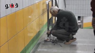 小喵被困5年...老爺爺「天天隔牆餵食」　破牆救出後眨眨眼睛：可以跟你回家嗎？ 