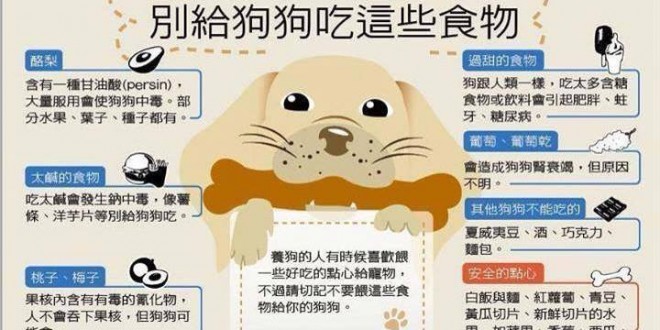 11種狗狗不能吃的食物 ，居然有它
