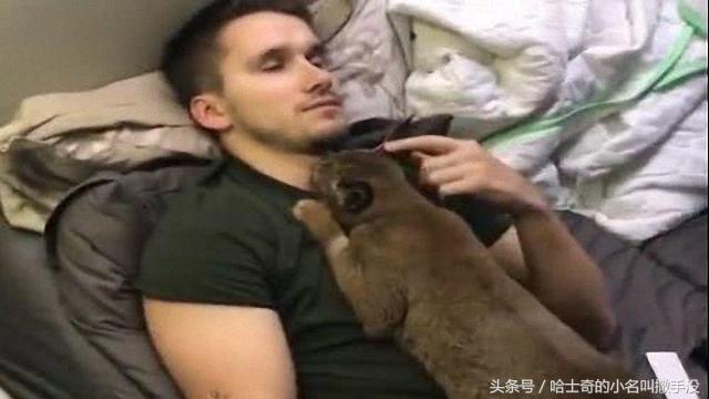 幸好養了只貓，要不然真解釋不清楚脖子上的口紅印咋來的 