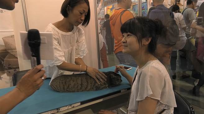 寵物展「寵」冠六宮！貓狗奴攜主子擠爆南港