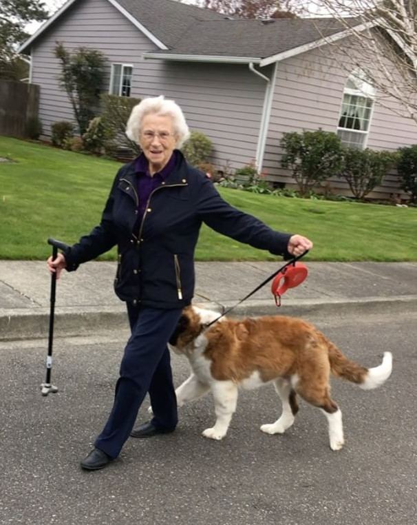 狗狗半路認親93歲獨居奶奶，天天敲門陪伴比孫子還孝順！