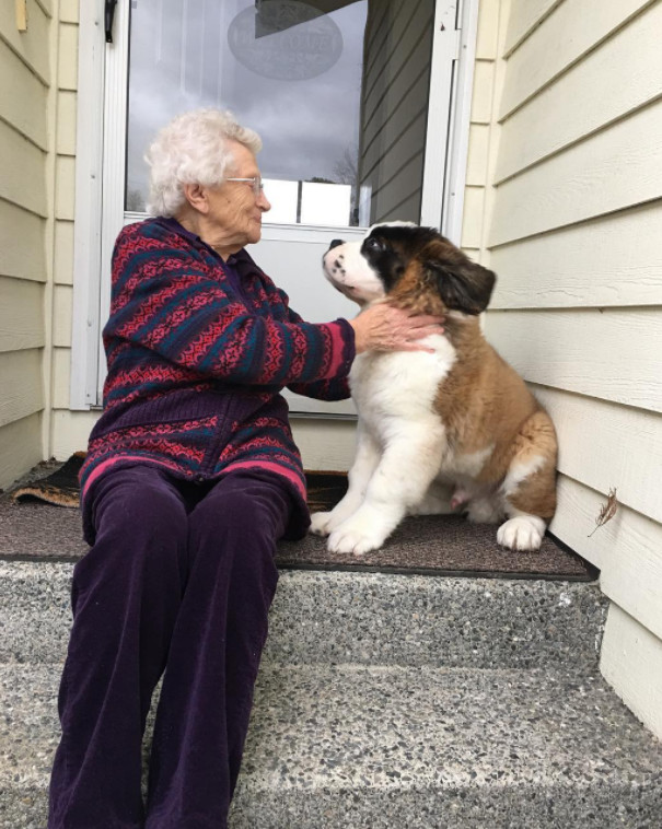 狗狗半路認親93歲獨居奶奶，天天敲門陪伴比孫子還孝順！