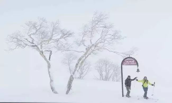 測一測：這九棵樹，你會躲在哪棵樹後？準的嚇人！ 