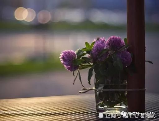 情感真摯、桃花紛飛，一輩子被愛情追著跑的星座！ 