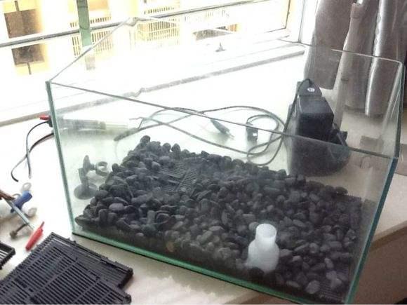 家中出現這3種現象，家運必有大破財，財路被堵死 