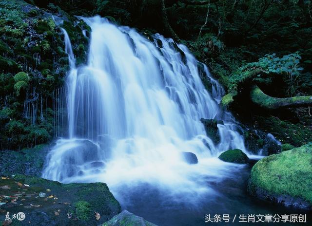 發橫財，賺大錢，中大獎！7月中旬一夜暴富的生肖！ 