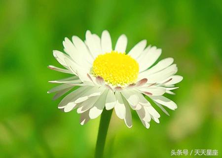 7月中開始，7大生肖旺到不能再旺！ 