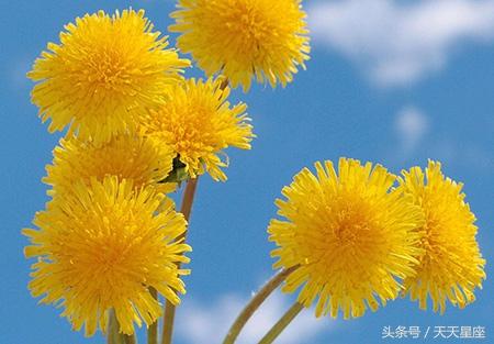 7月中開始，7大生肖旺到不能再旺！ 