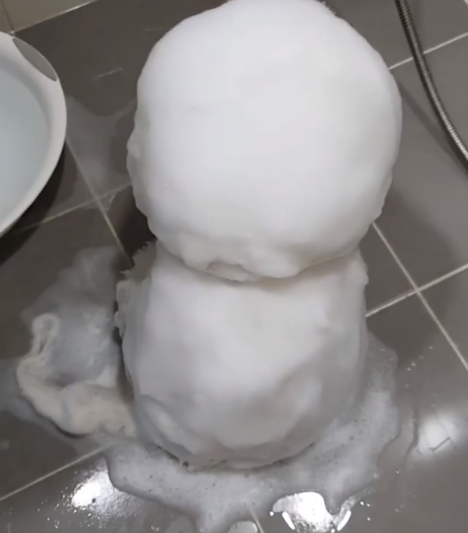 有雪人出沒！泡泡汪背對主人洗澡澡　水一沖「白雪全融化」網喊：到底什麼狗！ 