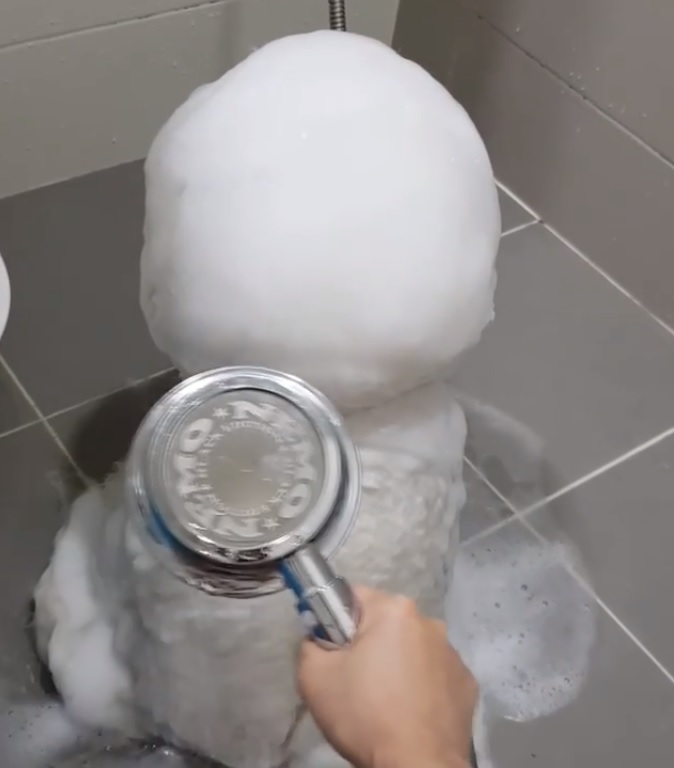 有雪人出沒！泡泡汪背對主人洗澡澡　水一沖「白雪全融化」網喊：到底什麼狗！ 