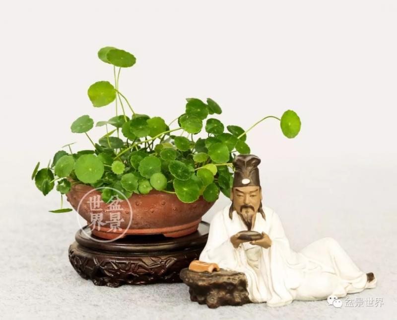 「蘇北一怪」王如生大師作品清賞 