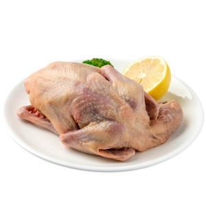 一鴿勝九雞，常吃鴿子肉身體會收穫這3個好處，不知道的太可惜