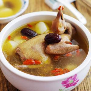 一鴿勝九雞，常吃鴿子肉身體會收穫這3個好處，不知道的太可惜
