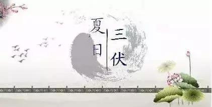 三伏將至，別做這7件事，傷遍心肺脾胃和腰頸！