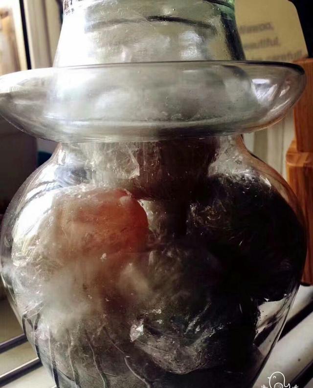 別再花錢買啦！自己做的「鴨蛋」鹹香好吃，簡單幾步驟就能翹腳等著吃！ 