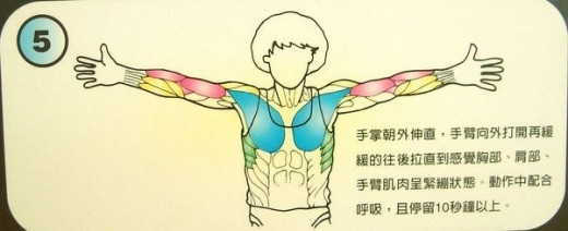 醫生背書：每天拉筋 3分鐘 3個月瘦 10公斤！這 12招全身伸展一定要記起來