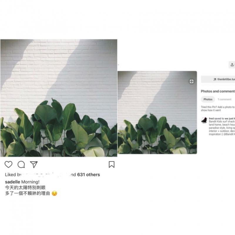 【照片全是在Google偷的！】方力申『緋聞女友』被爆偷圖扮富貴！被踢爆還理直氣壯！