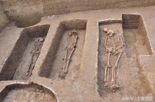 河南發現9000年前遺址，一件文物改變世界歷史，專家：不容置疑！ 