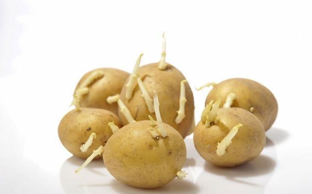 醫生：7種發芽的食物，3種不能吃，要丟掉，4種營養倍增，要珍惜