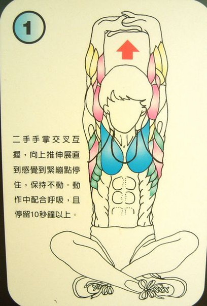 每天拉筋3個月瘦 10公斤！這「12式全身伸展操」一定要記起來！ 