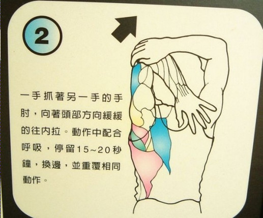 每天拉筋3個月瘦 10公斤！這「12式全身伸展操」一定要記起來！ 