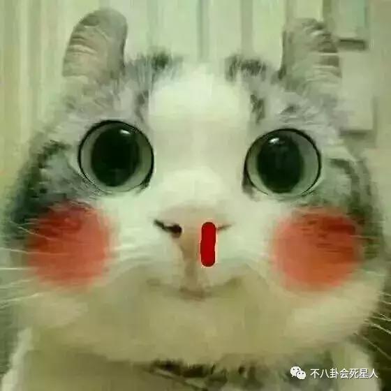 湯鎮業雙胞胎兒子將出道，他大女兒更是顏好氣質佳，堪稱翻版黎姿！