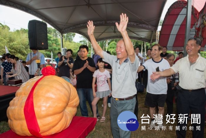觀音超級大南瓜競賽　568台斤奪冠