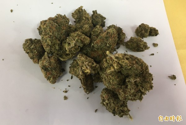房客不繳租飄出青草味 破門驚見600株  「大麻植物園」 
